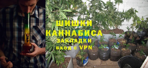 бутират Богданович