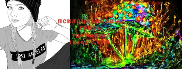бутират Богданович