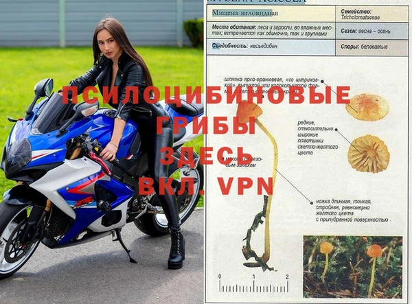 бутират Богданович