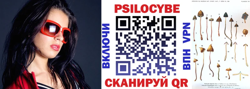 Галлюциногенные грибы Psilocybine cubensis  Тобольск 